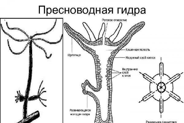 Онион сайты