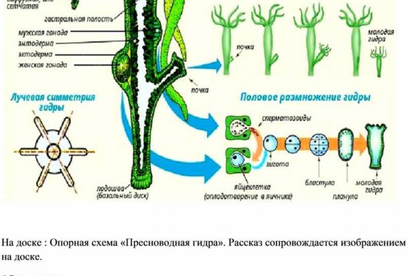 Зайти на кракен