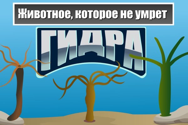 Ссылки на кракен маркетплейс